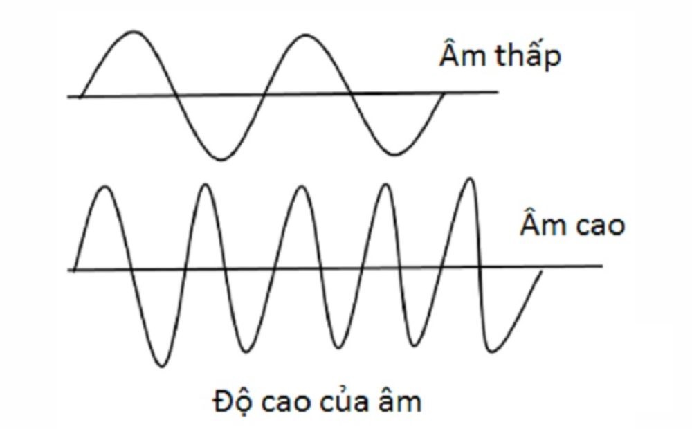 Cao độ trong âm nhạc là gì? Tìm hiểu về vai trò và ứng dụng của cao độ trong âm nhạc