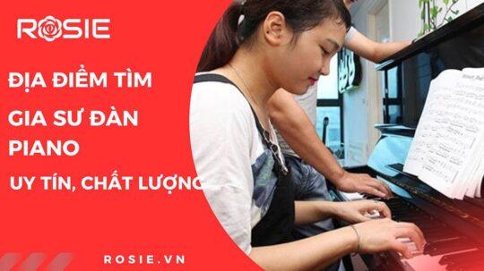 gia-su-dan-piano-tai-ha-noi-1