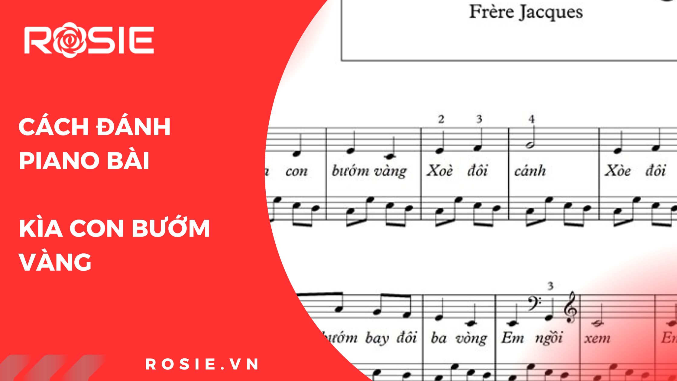 cach danh dan piano bai kia con buom vang